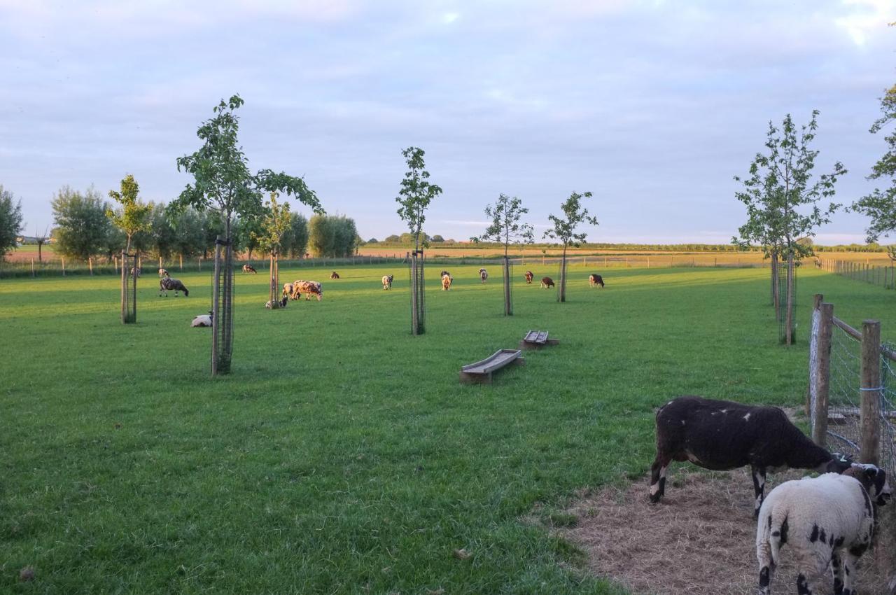 De Nachtdijk Bed & Breakfast Wijk bij Duurstede Dış mekan fotoğraf