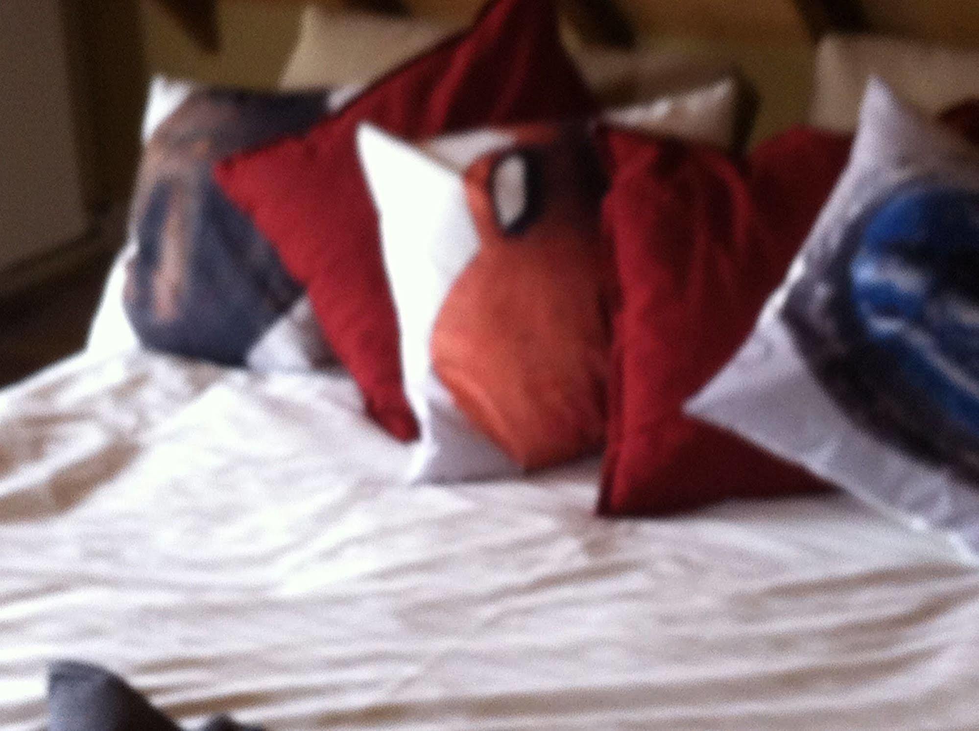 De Nachtdijk Bed & Breakfast Wijk bij Duurstede Dış mekan fotoğraf
